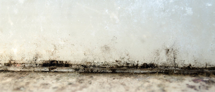 Mould at a wall and floor junction