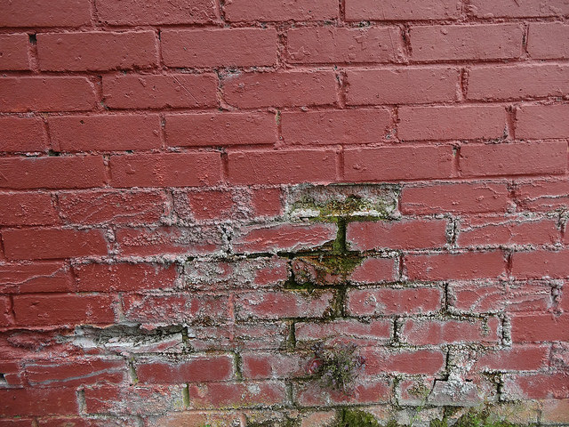 Rising damp tide marks on lower wall